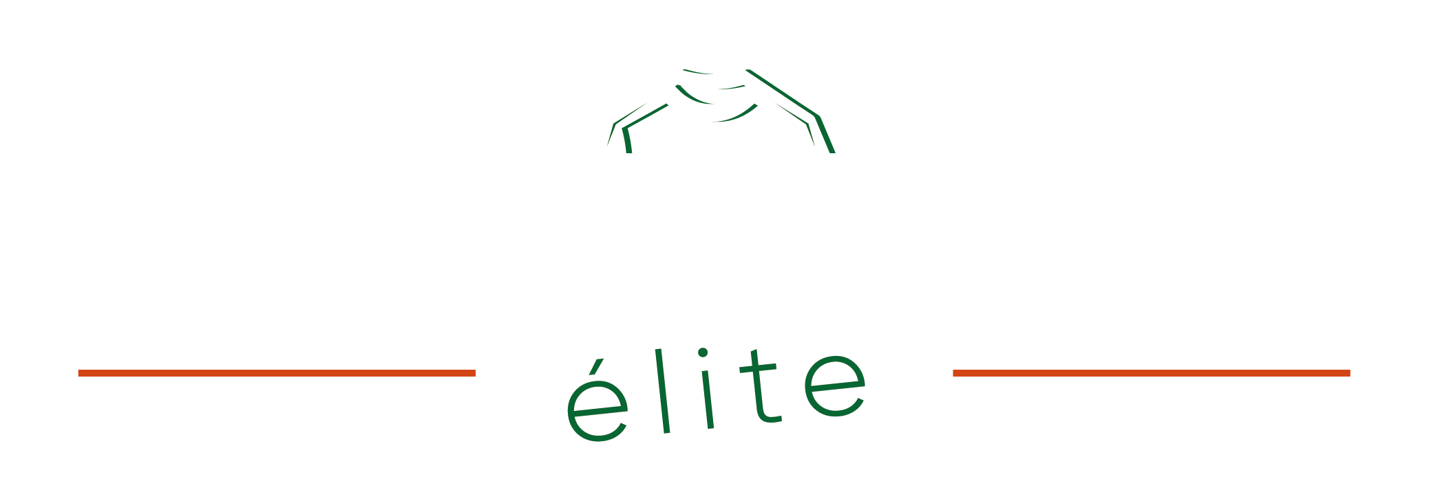 Le challenger